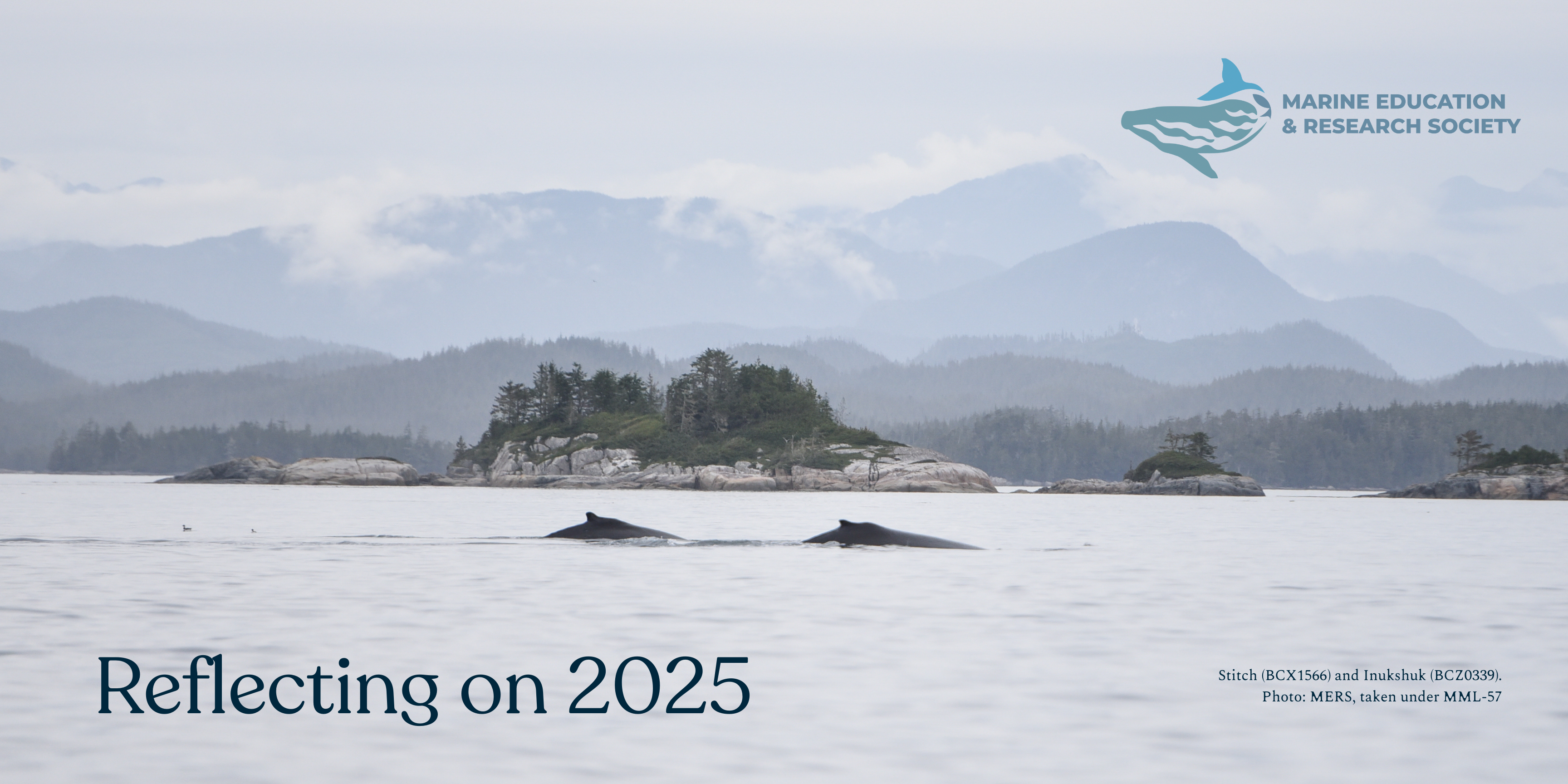 Reflecting on 2025 (3)